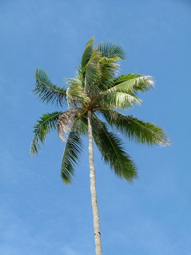20070629_singapore_bintan_2_046